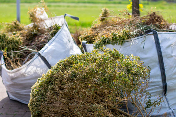 Best Basement Cleanout Services  in Watertown, WI