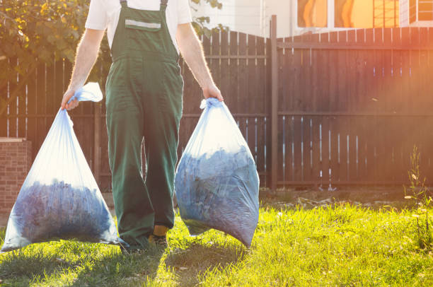 Debris Removal in Watertown, WI